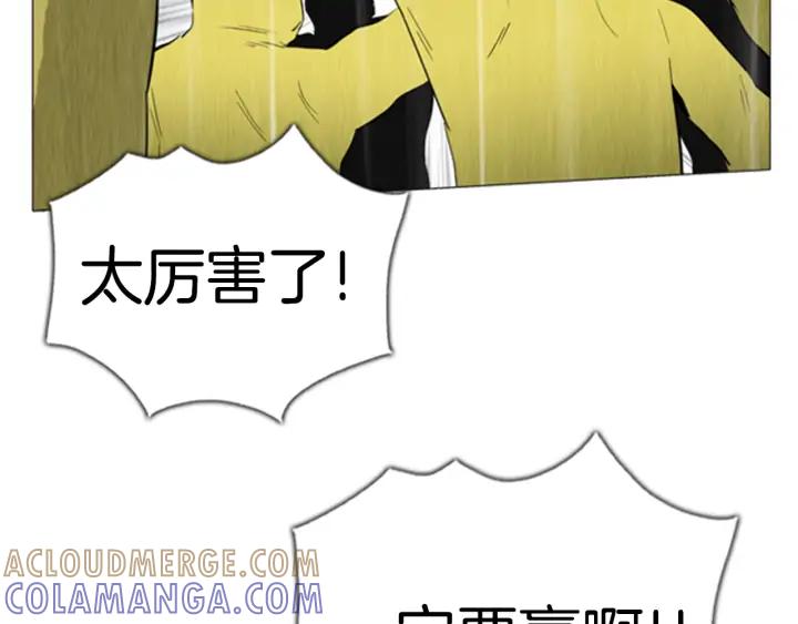 第253页