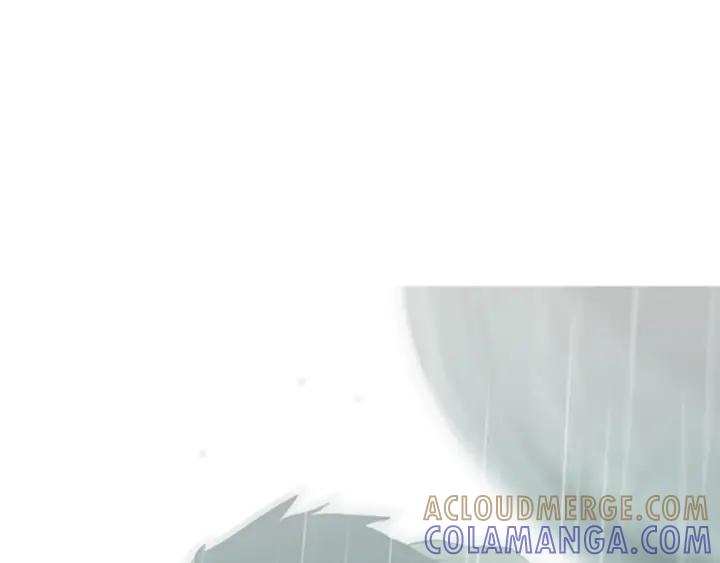 第253页