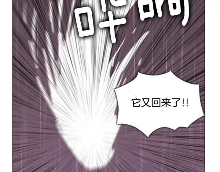 第226页