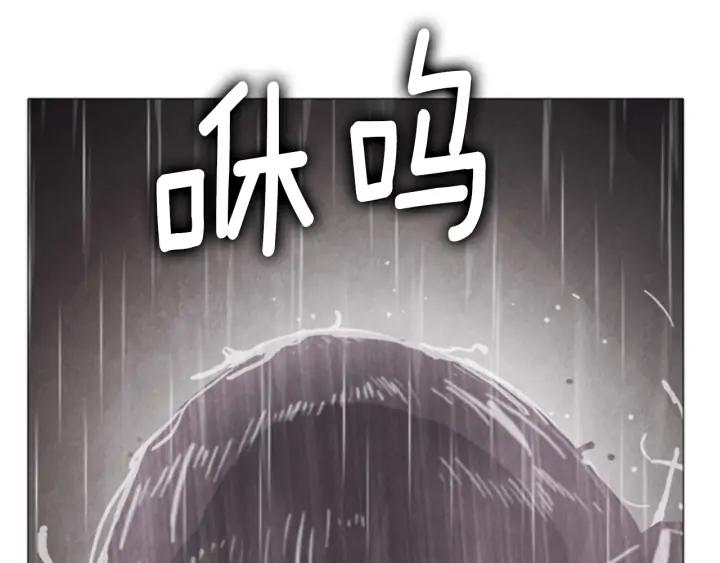 第559页