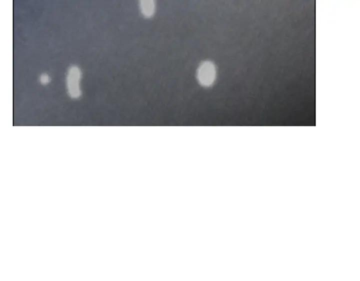 第183页