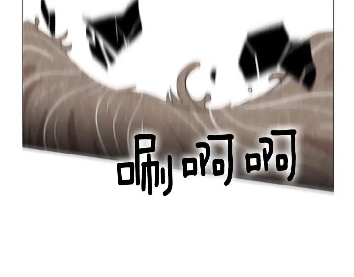 第335页