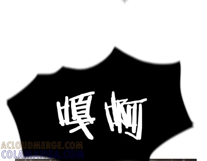 第338页