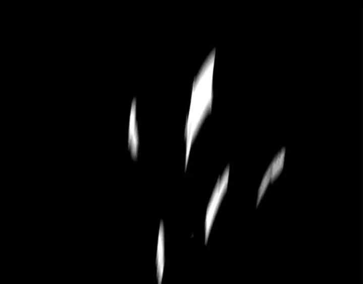 第524页