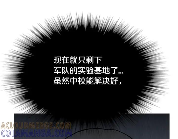 第242页