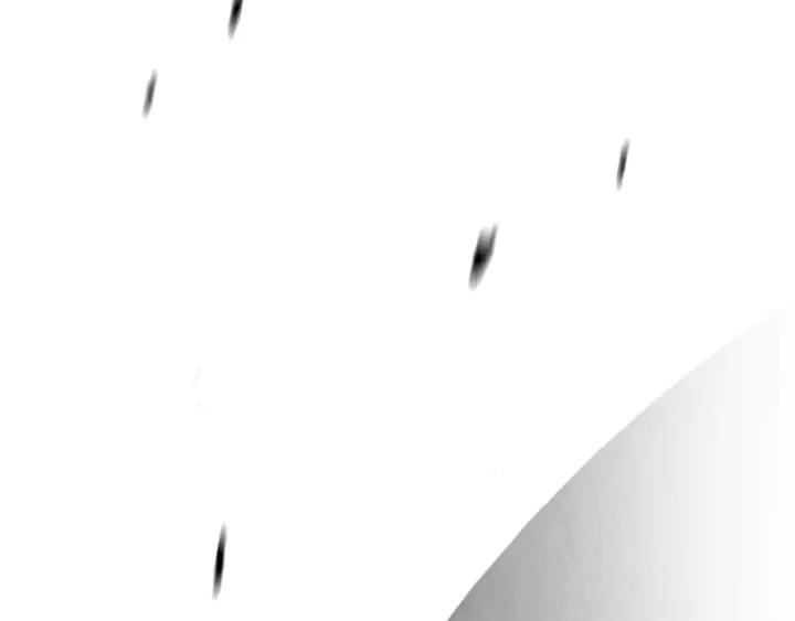 第437页