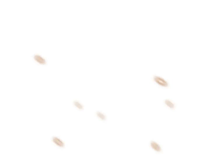 第479页