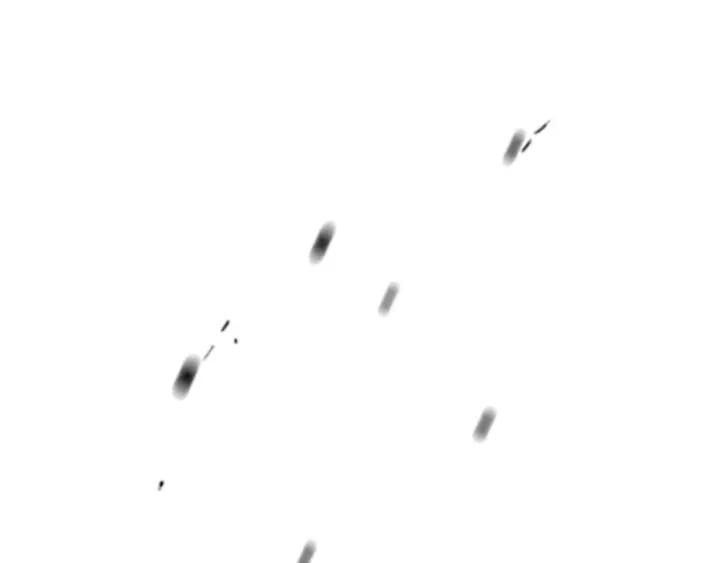 第429页