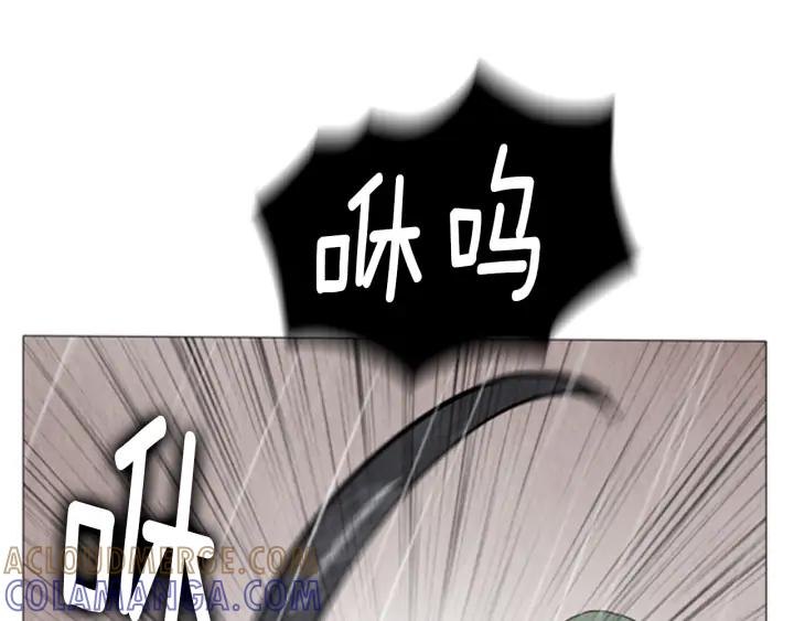 第219页