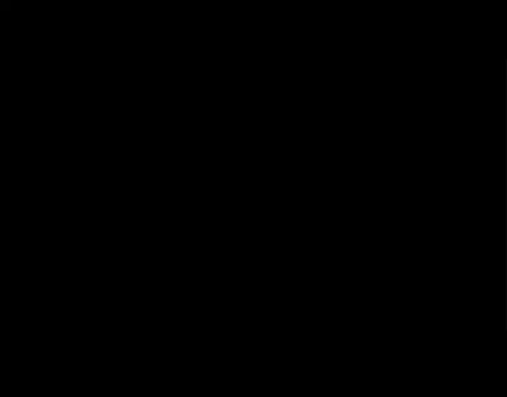第249页