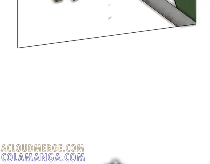 第255页