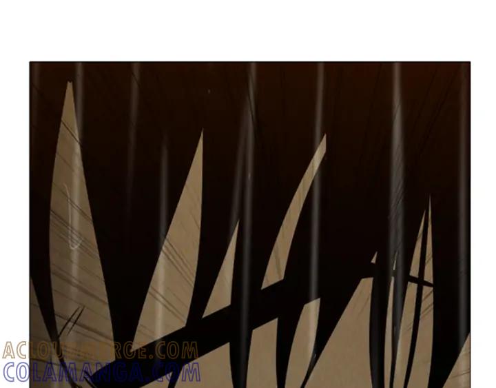 第267页
