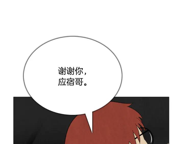 第384页