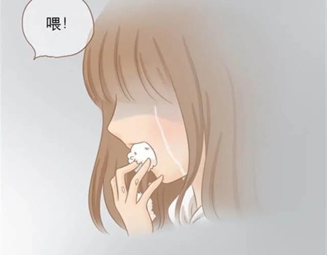 第224页