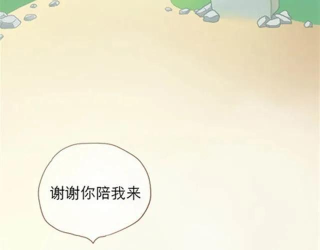 第238页