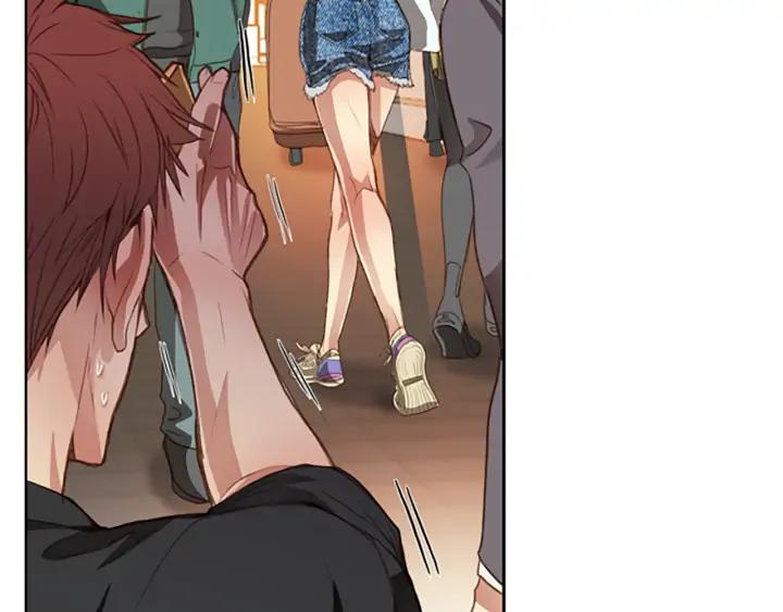 第204页