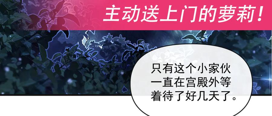 第223页