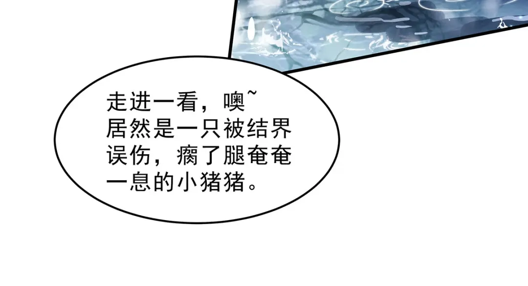 第223页