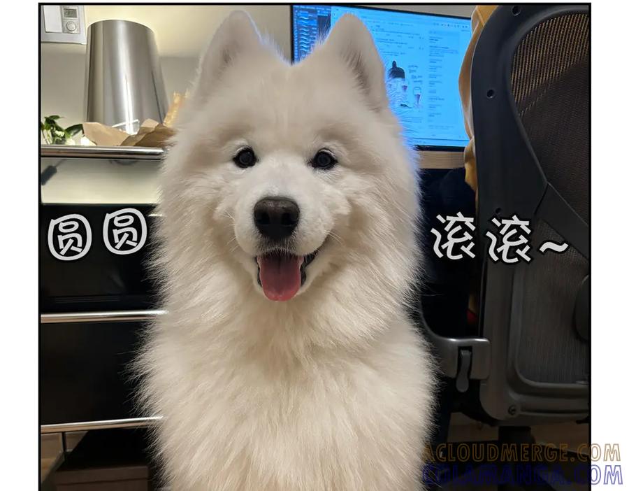 第49页