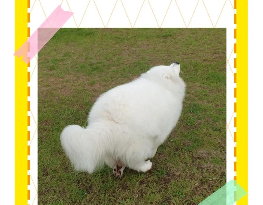 第84页