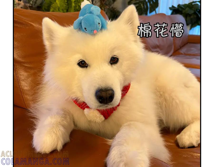 第52页