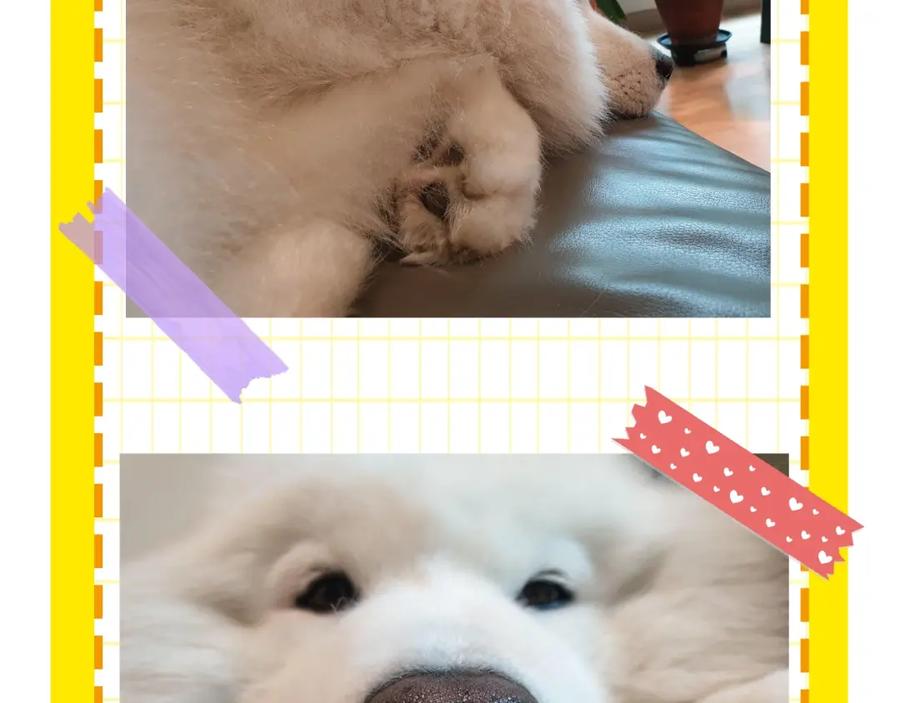 第95页