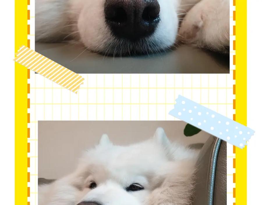 第96页