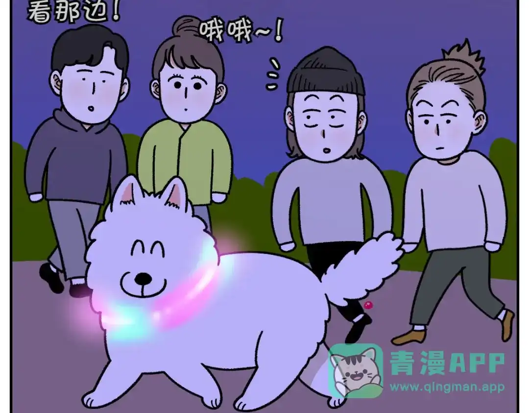 第41页