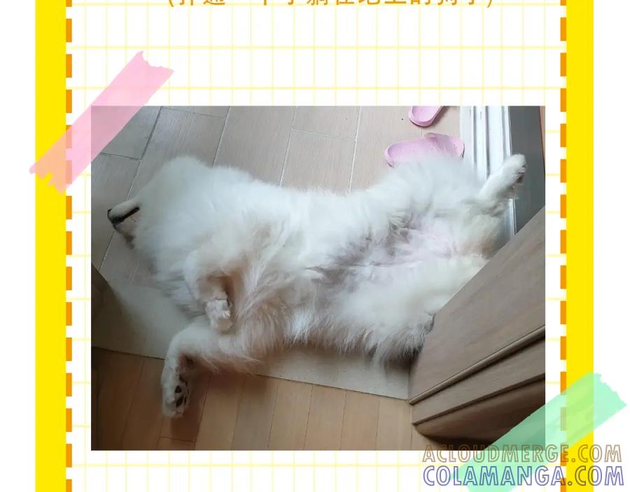 第85页