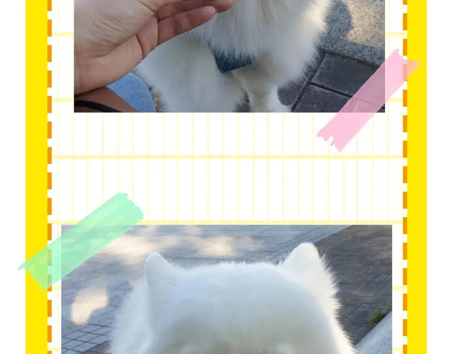 第103页