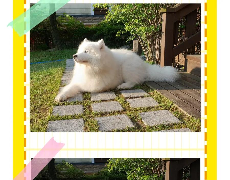 第96页