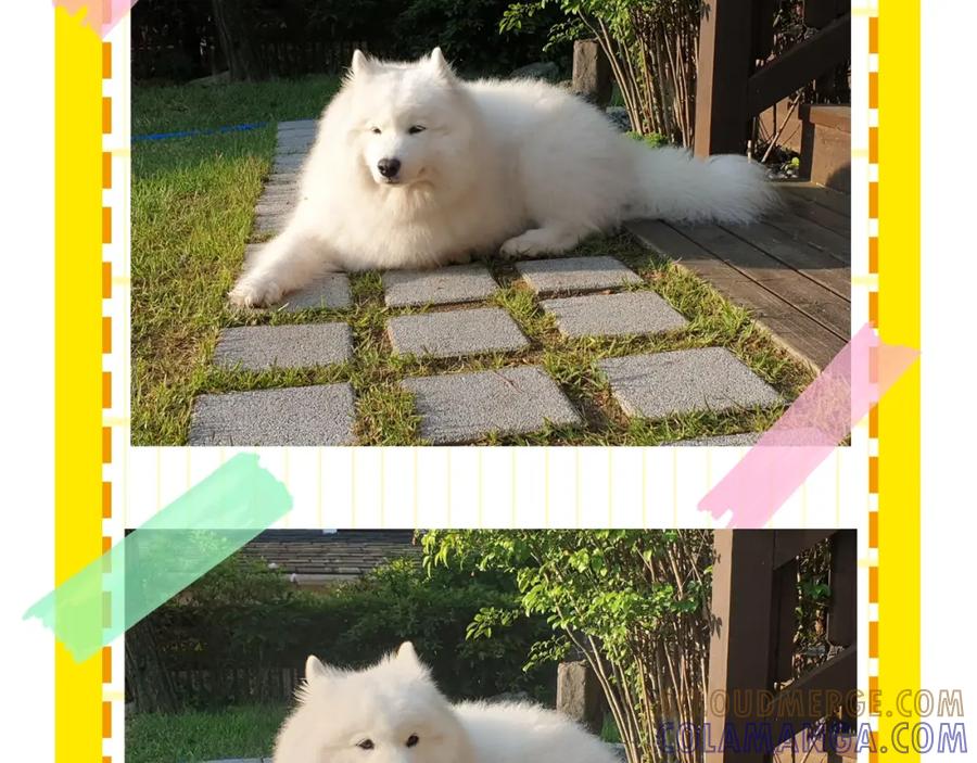 第97页