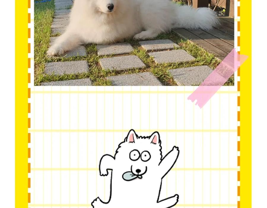 第98页