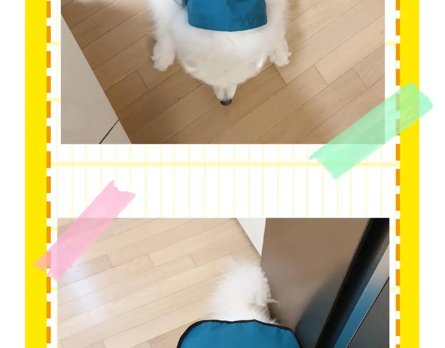 第98页