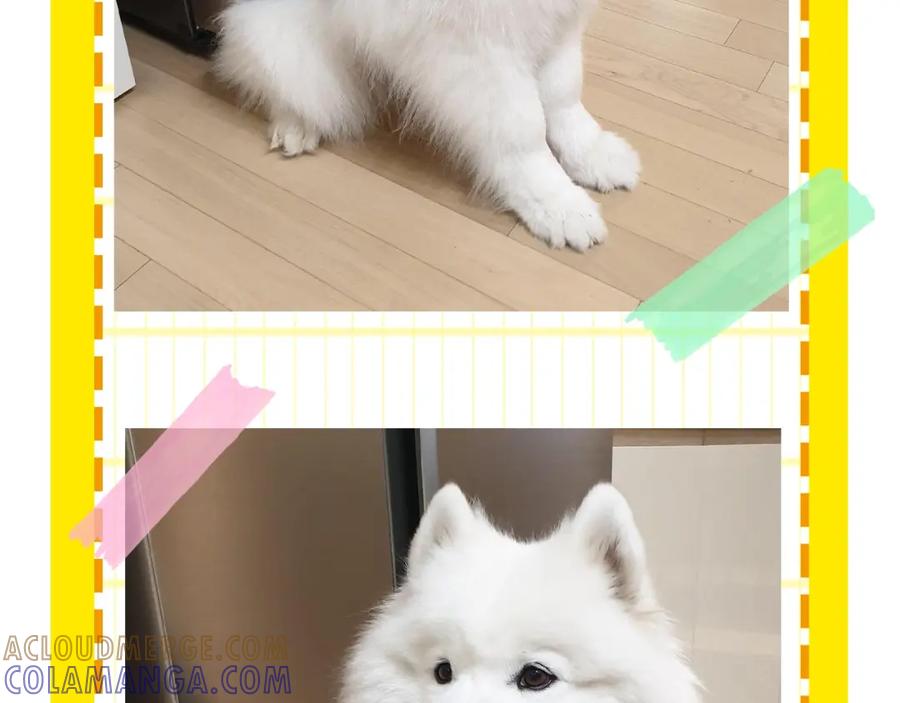 第85页