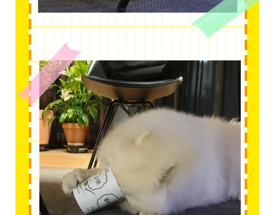 第87页
