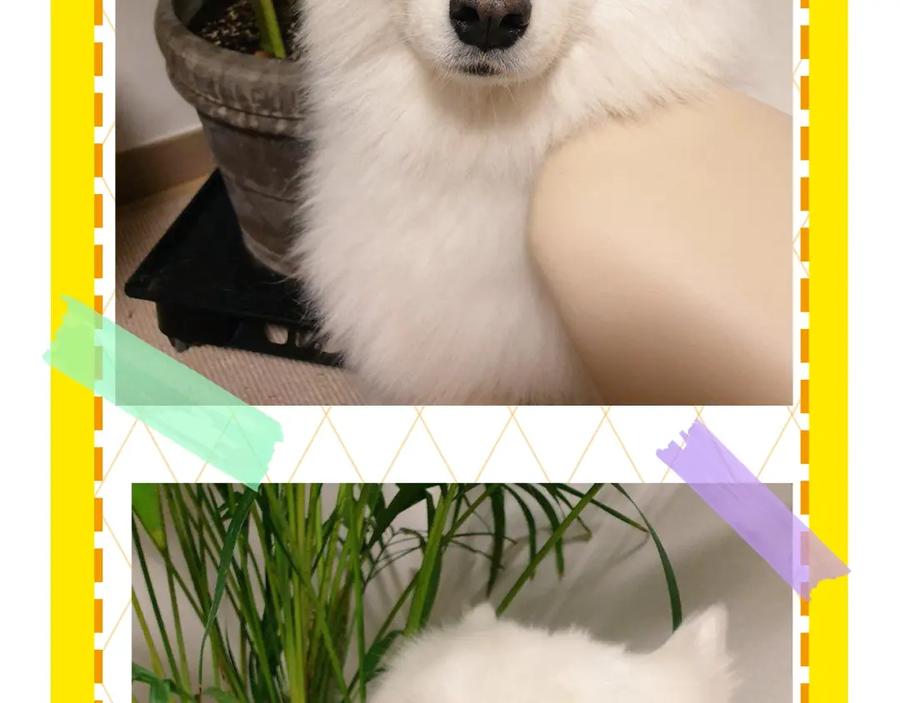 第92页