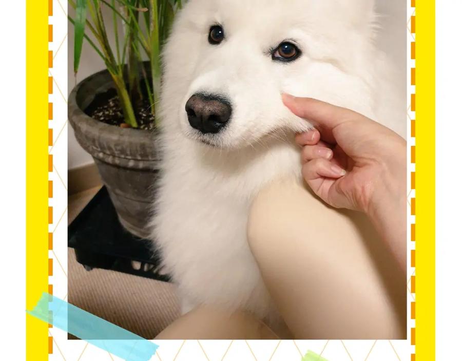 第93页