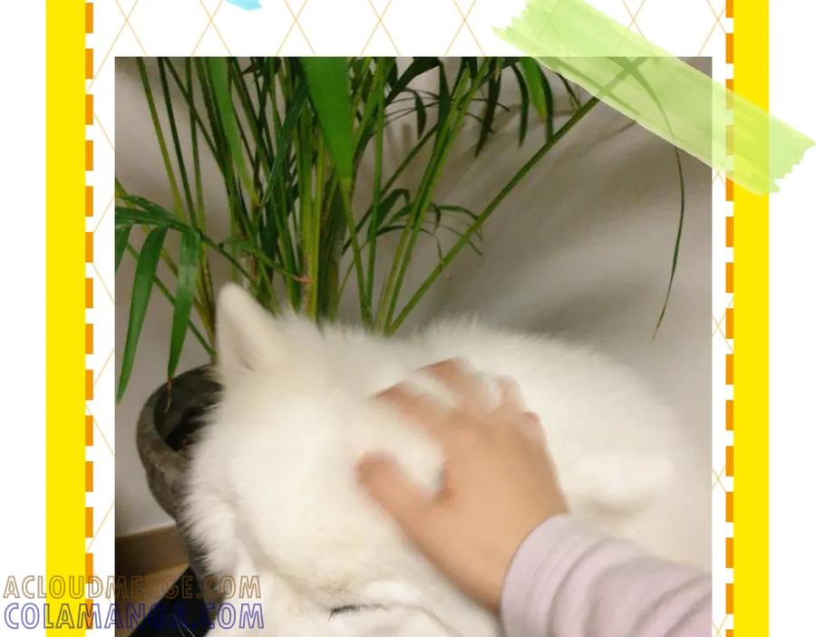 第94页