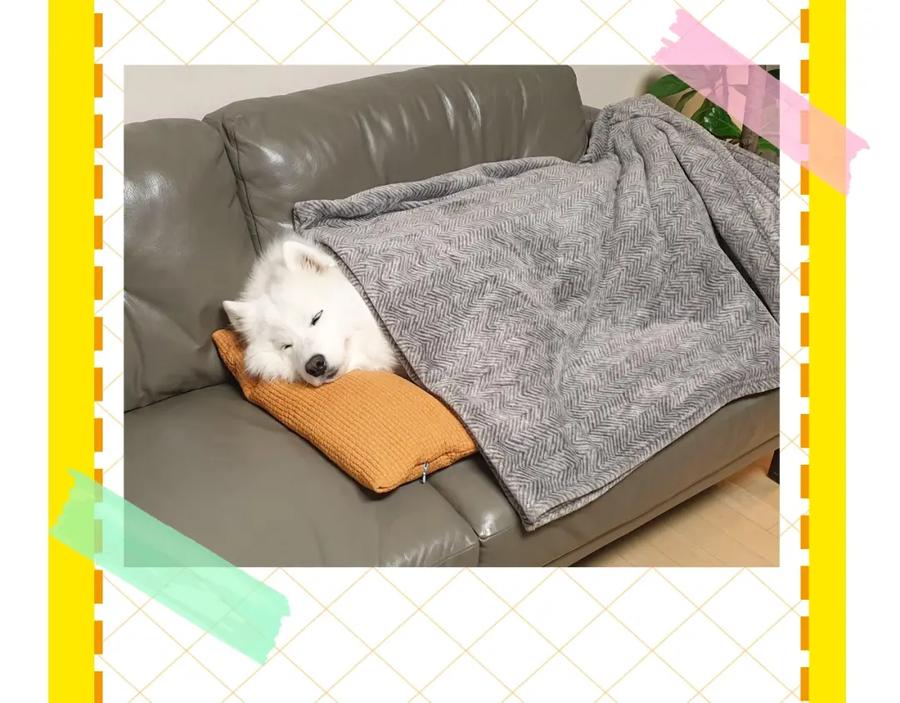 第95页