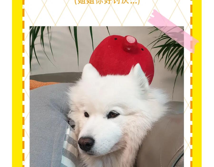 第96页