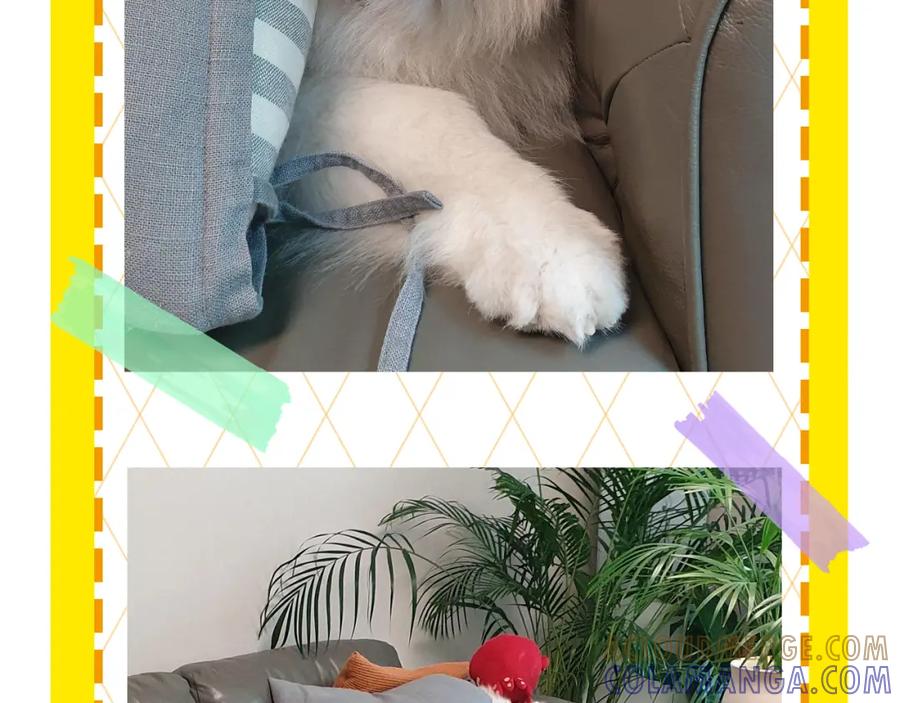 第97页