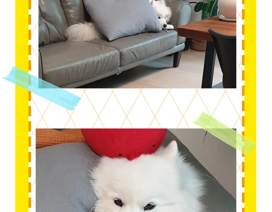 第98页