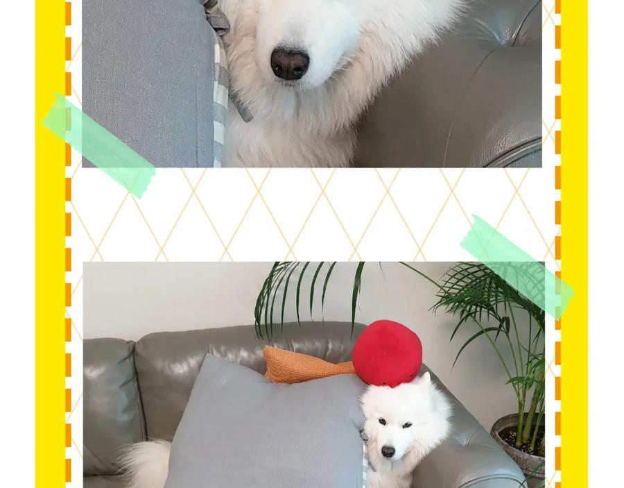 第99页