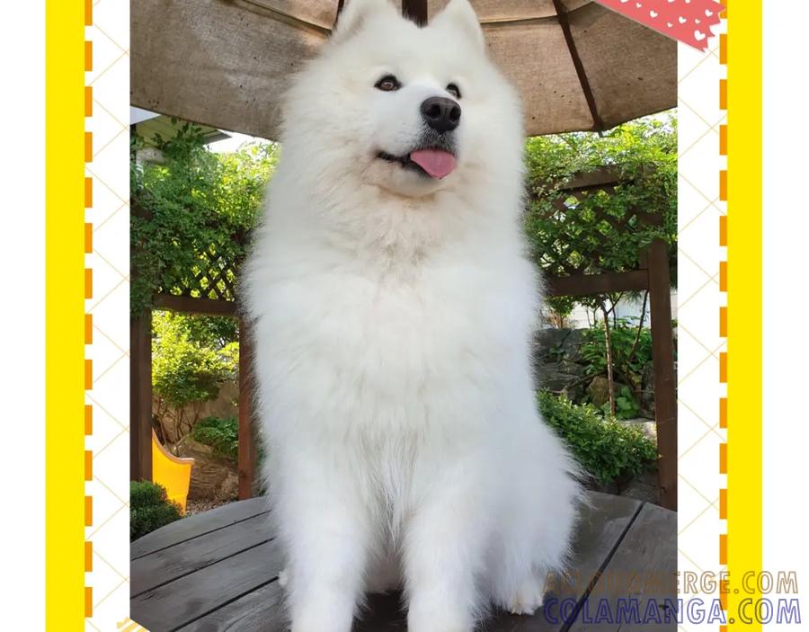第94页