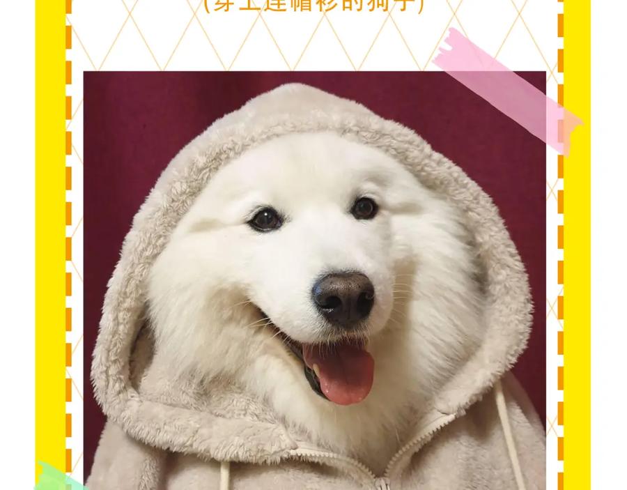 第90页