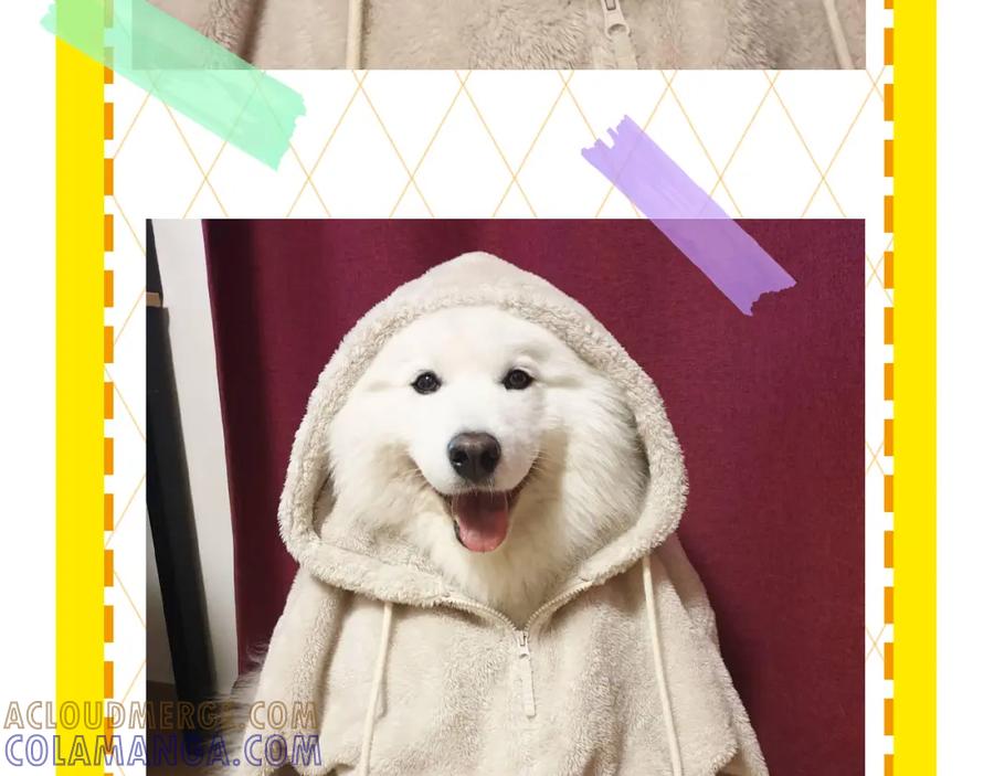 第91页
