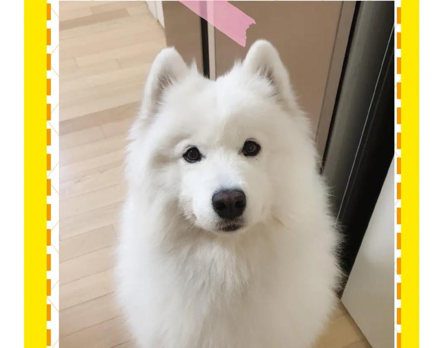 第90页