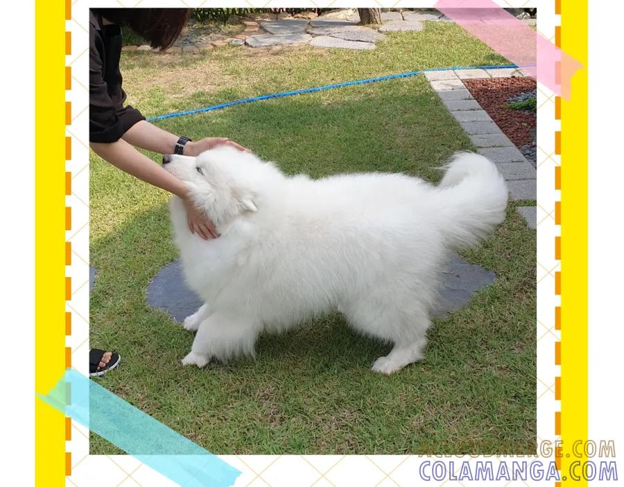 第94页