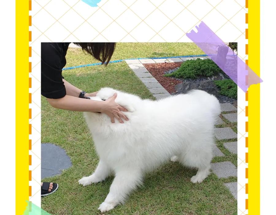 第95页